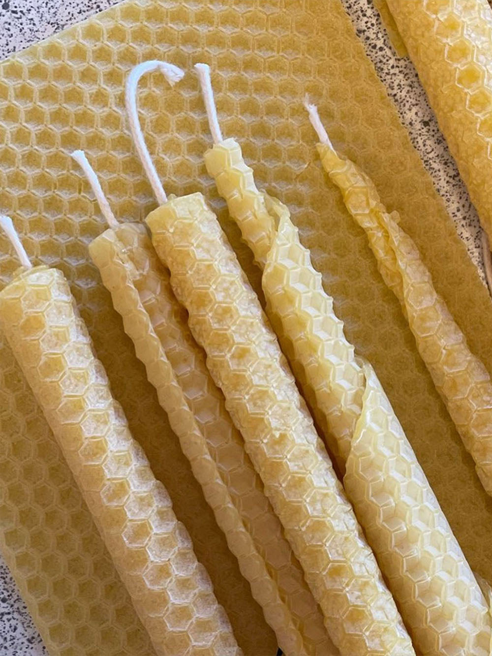 Rul selv bivokslys - Bistad