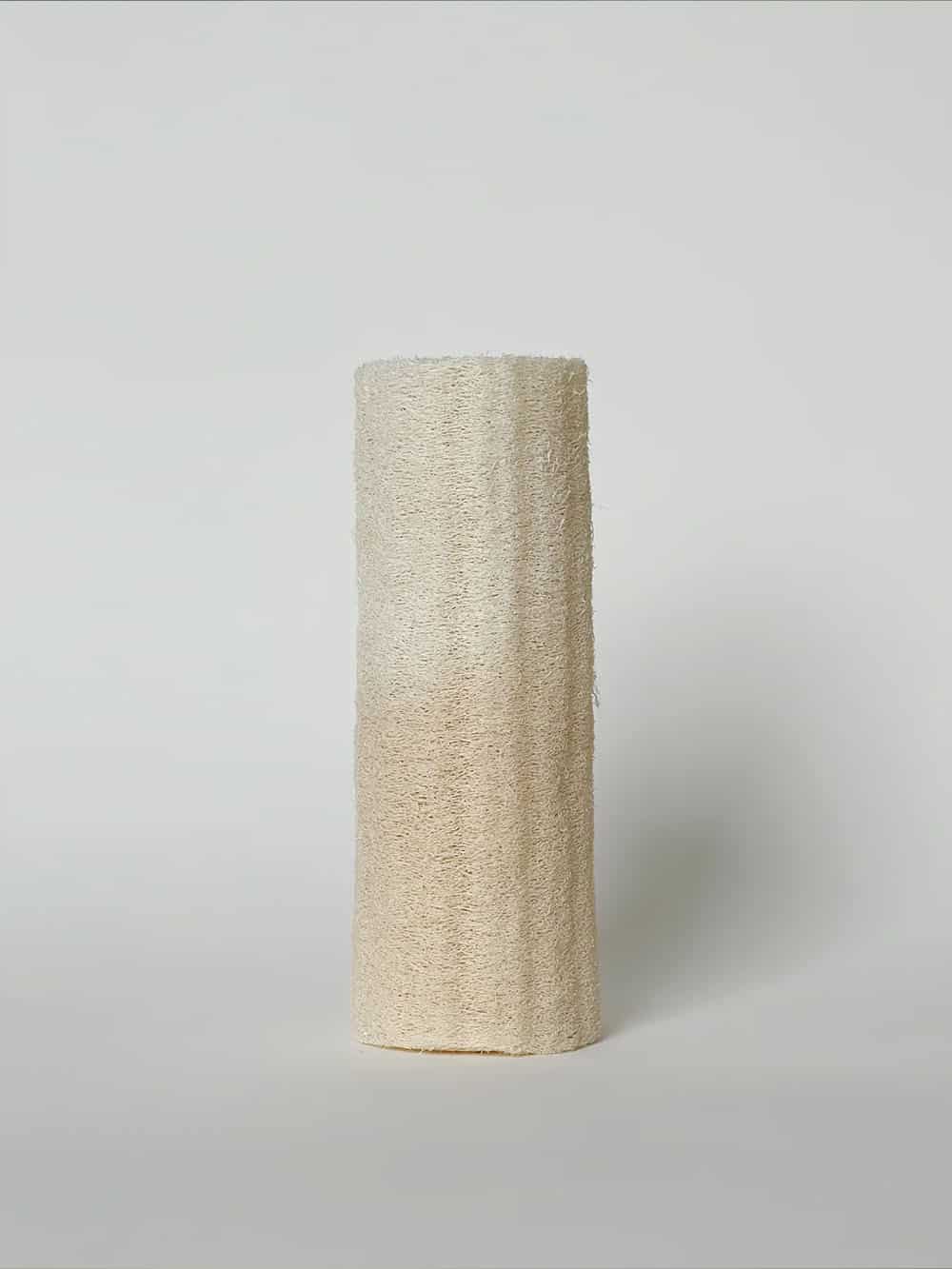 Stor loofah svamp