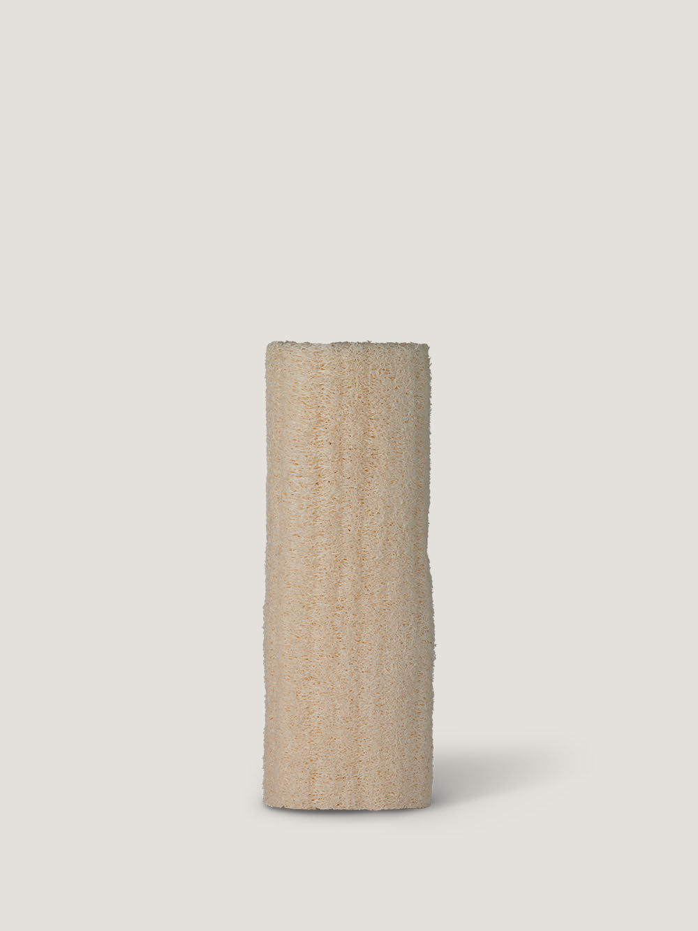 Stor loofah svamp