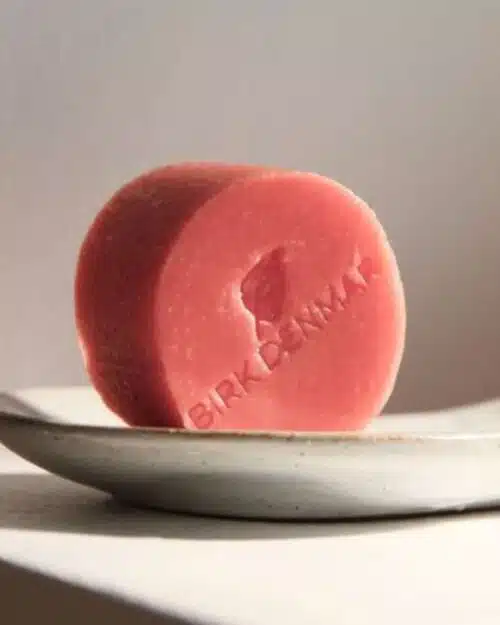 Birk balsambar med hyben