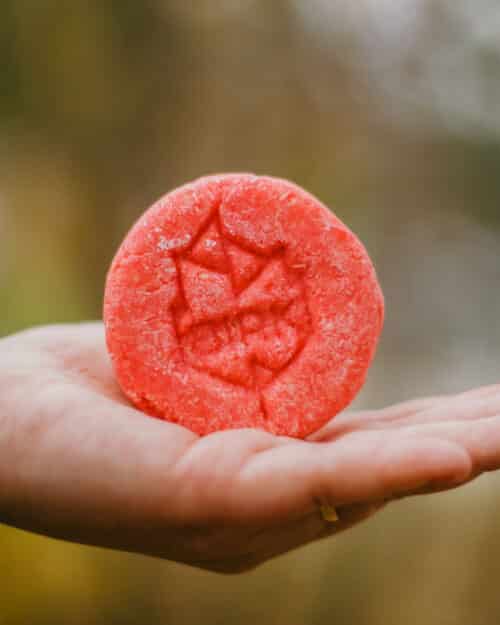 Birk shampoobar hindbær