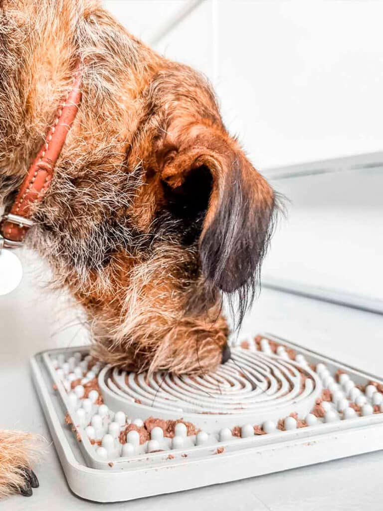 Hevea slikkemåtte i cloudy grey - hund slikker på måtten