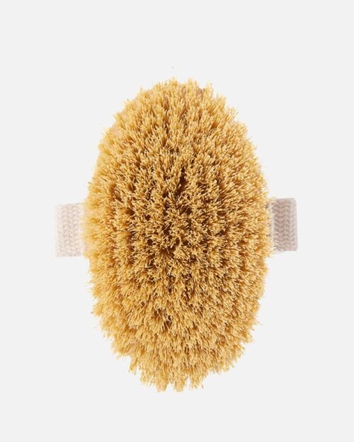 Kropsbørste set nedefra